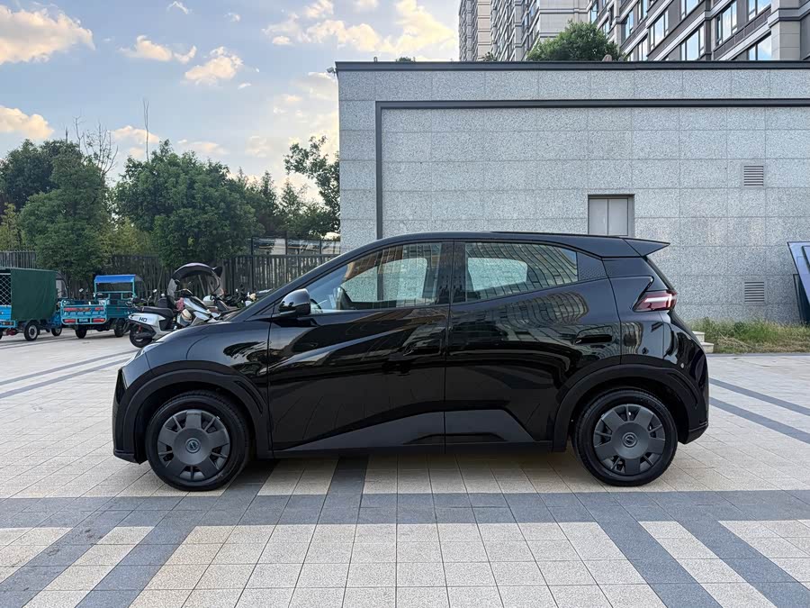 Seagull 2024 Glory Edition 305km Vitality Edition - zdjęcie 11