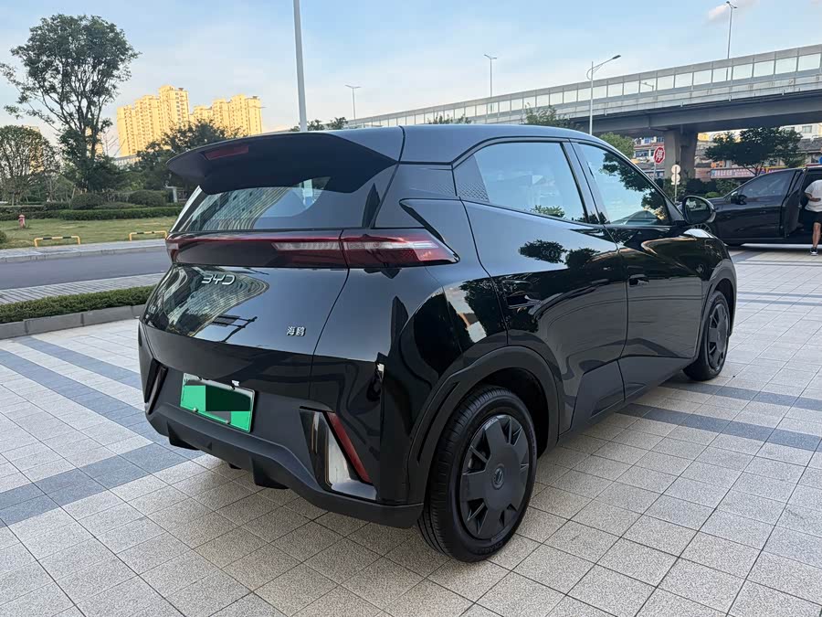 Seagull 2024 Glory Edition 305km Vitality Edition - zdjęcie 12