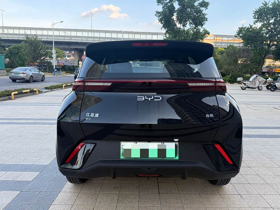 Seagull 2024 Glory Edition 305km Vitality Edition - zdjęcie 13