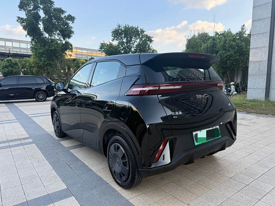 Seagull 2024 Glory Edition 305km Vitality Edition - zdjęcie 14