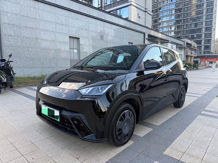 Seagull 2024 Glory Edition 305km Vitality Edition - zdjęcie 15