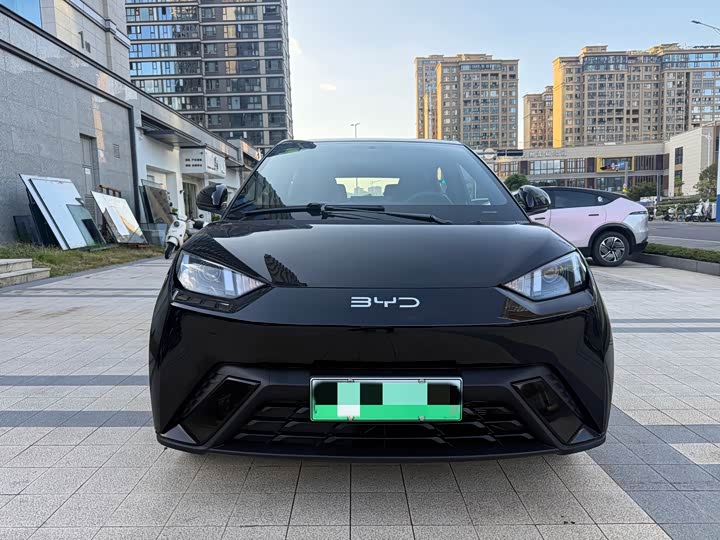 Seagull 2024 Glory Edition 305km Vitality Edition - zdjęcie 16