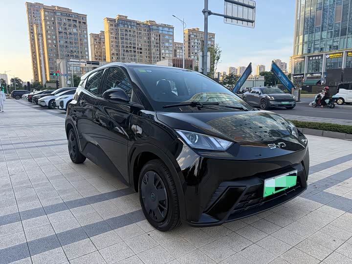 Seagull 2024 Glory Edition 305km Vitality Edition - zdjęcie 17