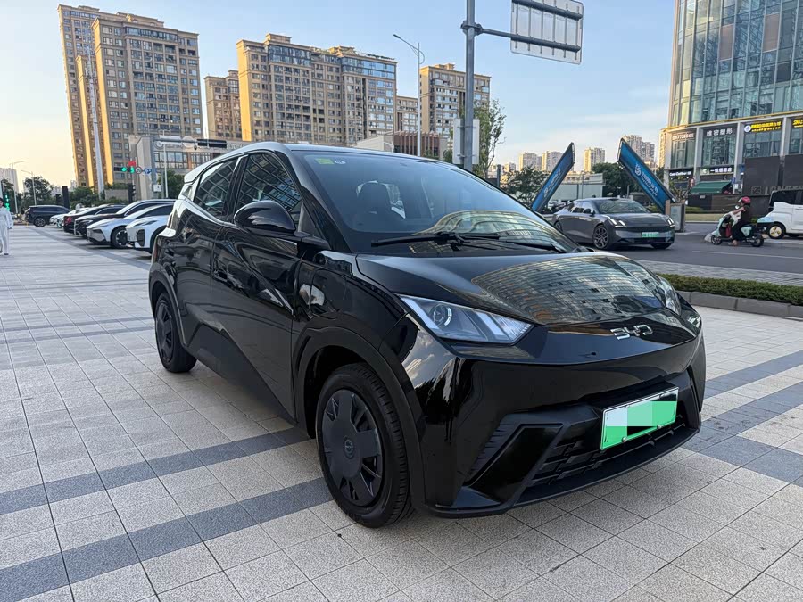 Seagull 2024 Glory Edition 305km Vitality Edition - zdjęcie 3