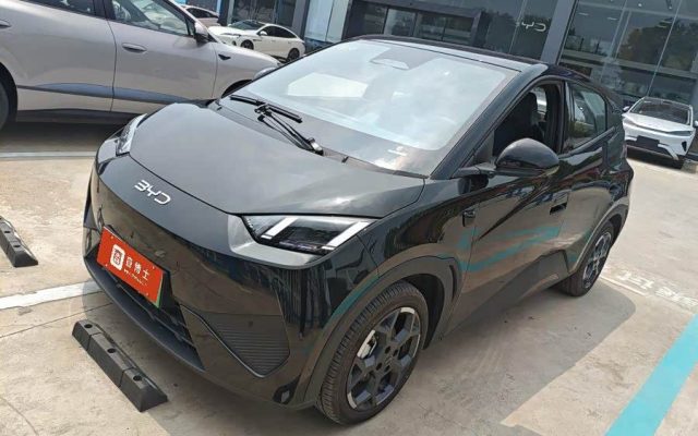Seagull 2025 Smart Drive 305km Freedom