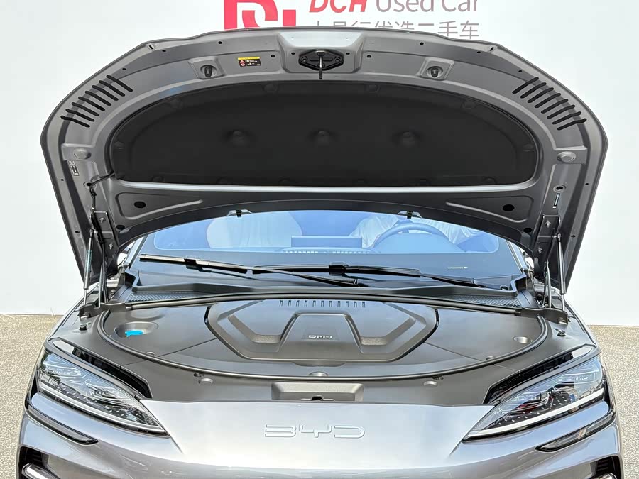 Song PLUS New Energy 2024 Honor Edition DM-i 150km Flagship PLUS - zdjęcie 18