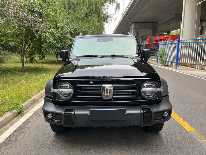 Tank 300 2025 2.0T Gasoline Conqueror - zdjęcie 18