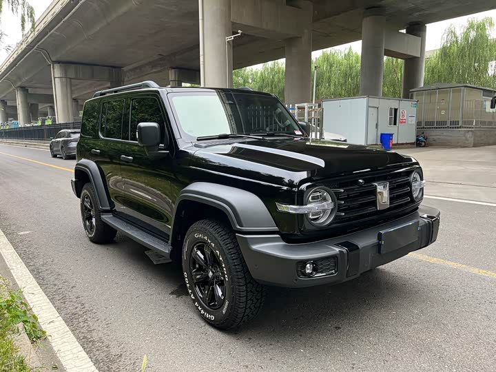 Tank 300 2025 2.0T Gasoline Conqueror - zdjęcie 19