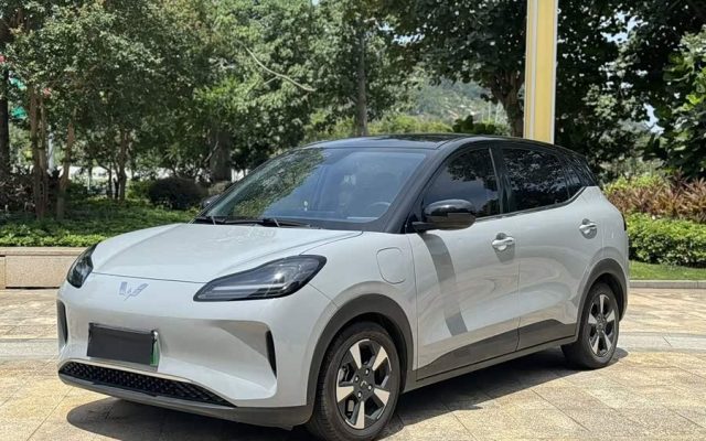 Wuling Bingo PLUS 2024 510km Flagship Version Four-Seater