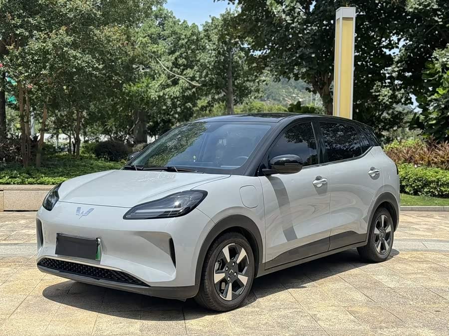 Wuling Bingo PLUS 2024 510km Flagship Version Four-Seater