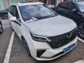 Wuling Jiachen 2022 1.5T CVT Premium Flagship - zdjęcie 16