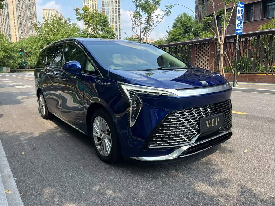 2023 2.0T Seven-Seater Elite - zdjęcie 3