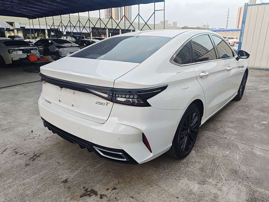 Ariya 8 2022 1.6T DCT Luxury - zdjęcie 14