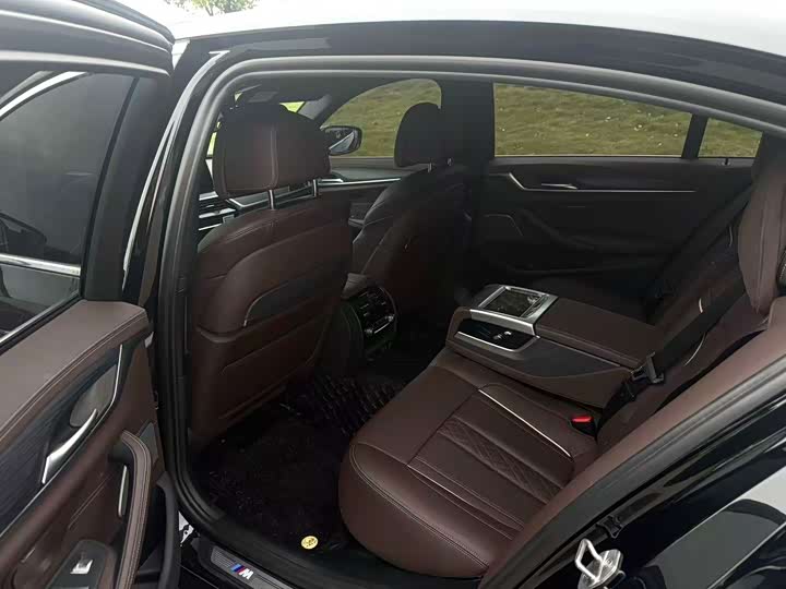 BMW 5 Series 2022 530Li Luxury M Sport - zdjęcie 8