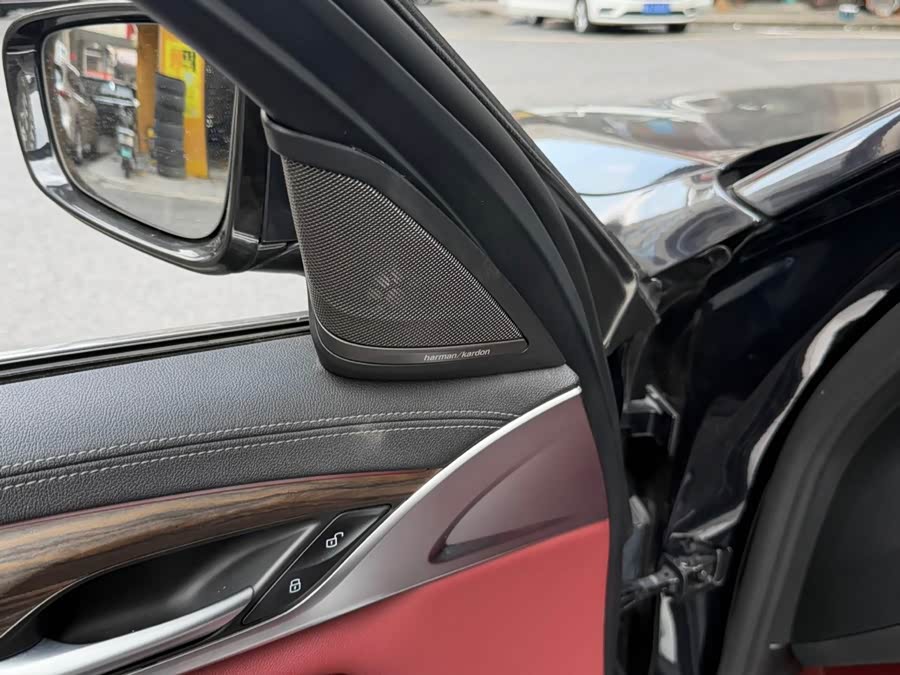 BMW 5 Series 2023 530Li Leading Luxury Package - zdjęcie 6