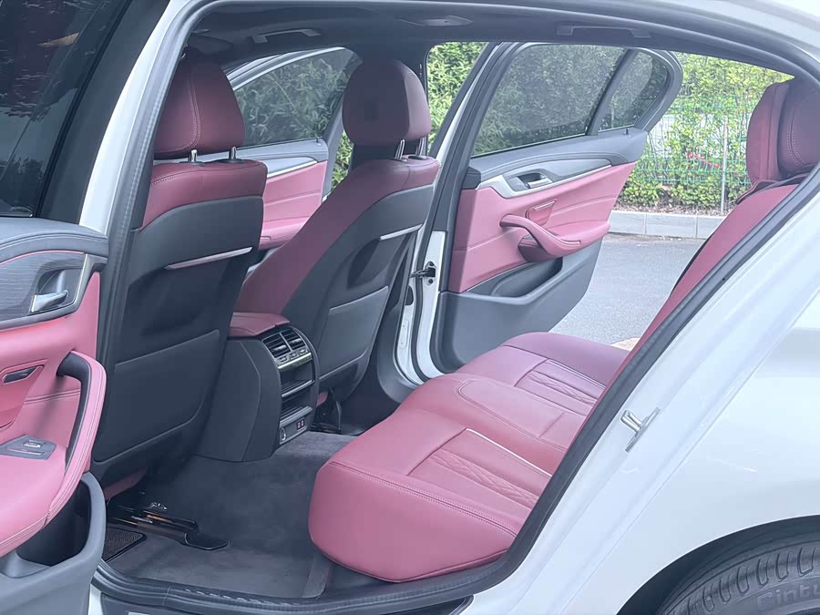 BMW 5 Series 2023 530Li Luxury M Sport Package - zdjęcie 7