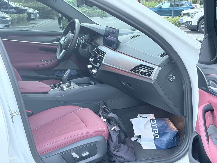 BMW 5 Series 2023 530Li Luxury M Sport Package - zdjęcie 8