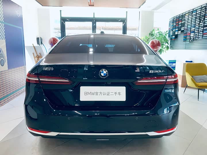 BMW 5 Series 2025 530Li Luxury Package - zdjęcie 18