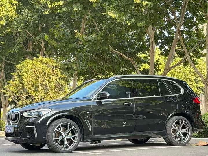 BMW X5 2022 xDrive 40Li Luxury M Sport Package - zdjęcie 10