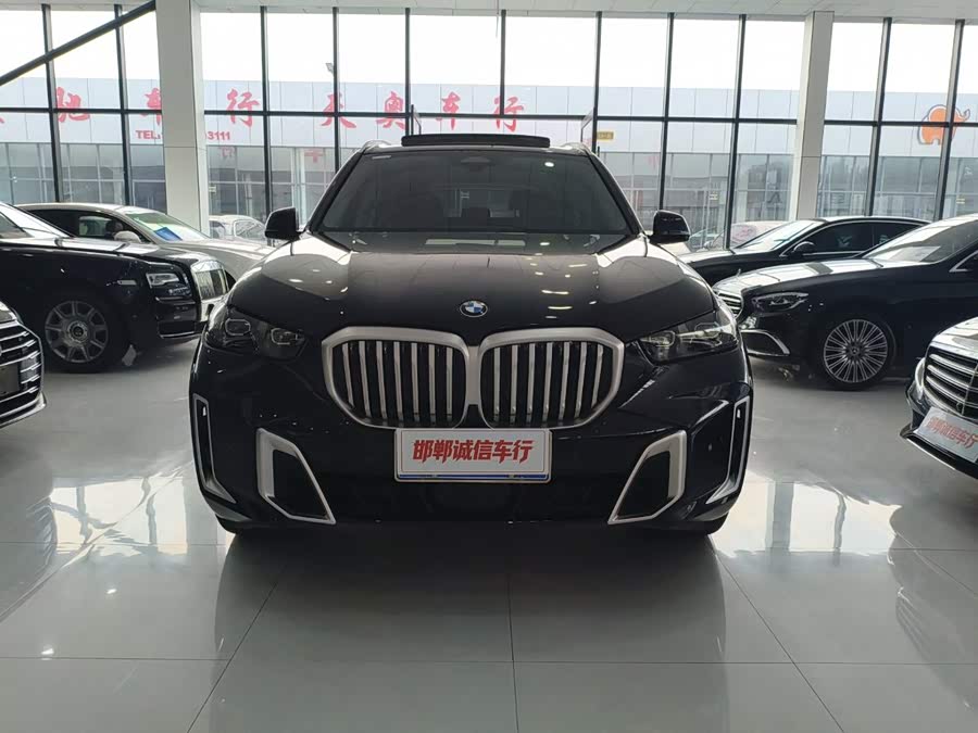 BMW X5 2023 xDrive 30Li Luxury M Sport Package - zdjęcie 2