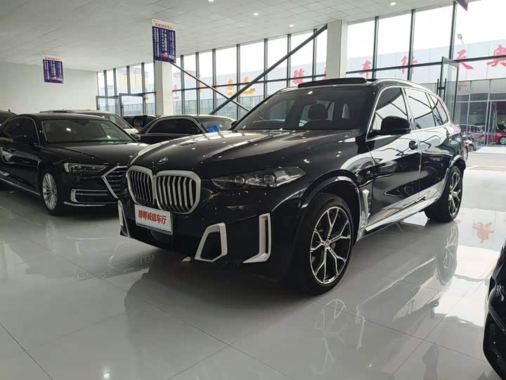 BMW X5 2023 xDrive 30Li Luxury M Sport Package - zdjęcie 20