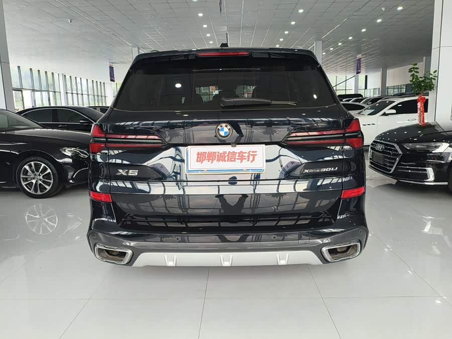 BMW X5 2023 xDrive 30Li Luxury M Sport Package - zdjęcie 5