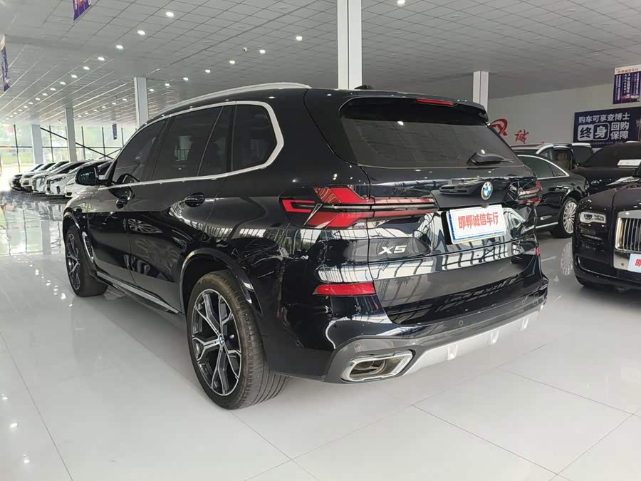 BMW X5 2023 xDrive 30Li Luxury M Sport Package - zdjęcie 6