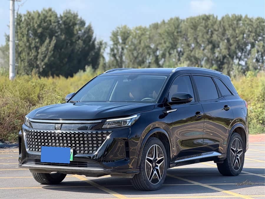 Blue Electric E5 2024 Honor Edition 100KM Premium 7-seater - zdjęcie 1