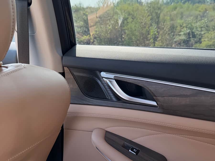Blue Electric E5 2024 Honor Edition 100KM Premium 7-seater - zdjęcie 17