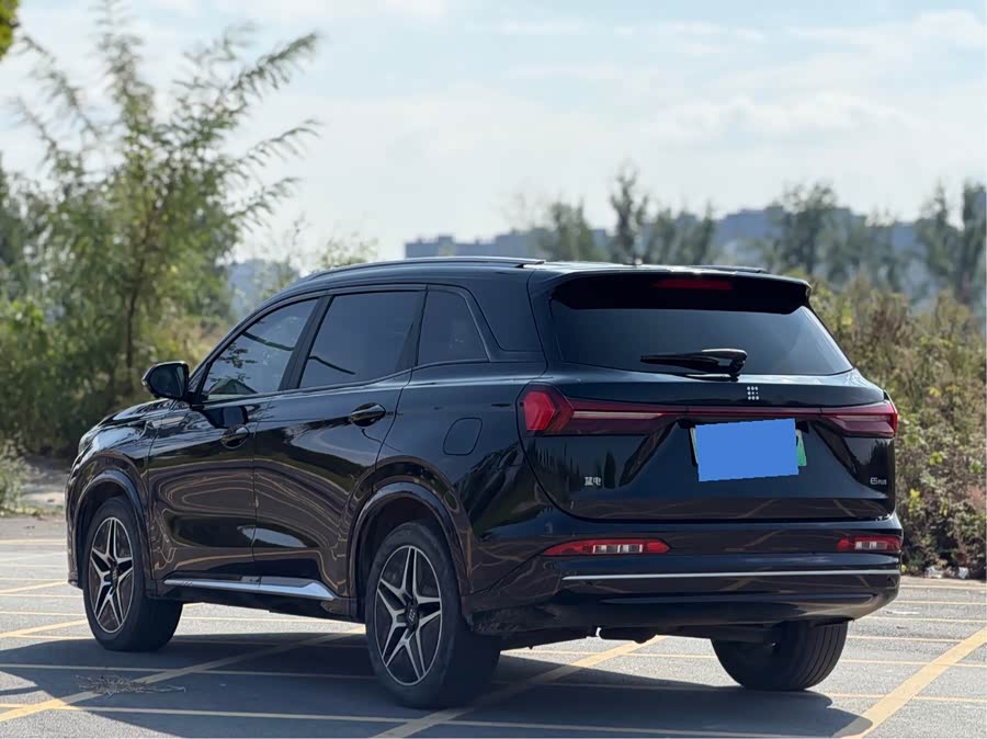 Blue Electric E5 2024 Honor Edition 100KM Premium 7-seater - zdjęcie 9