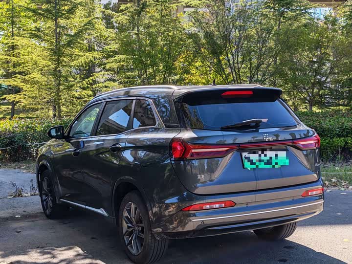 Blue Electric E5 PLUS 2025 165km Long Range 5 Seats - zdjęcie 15