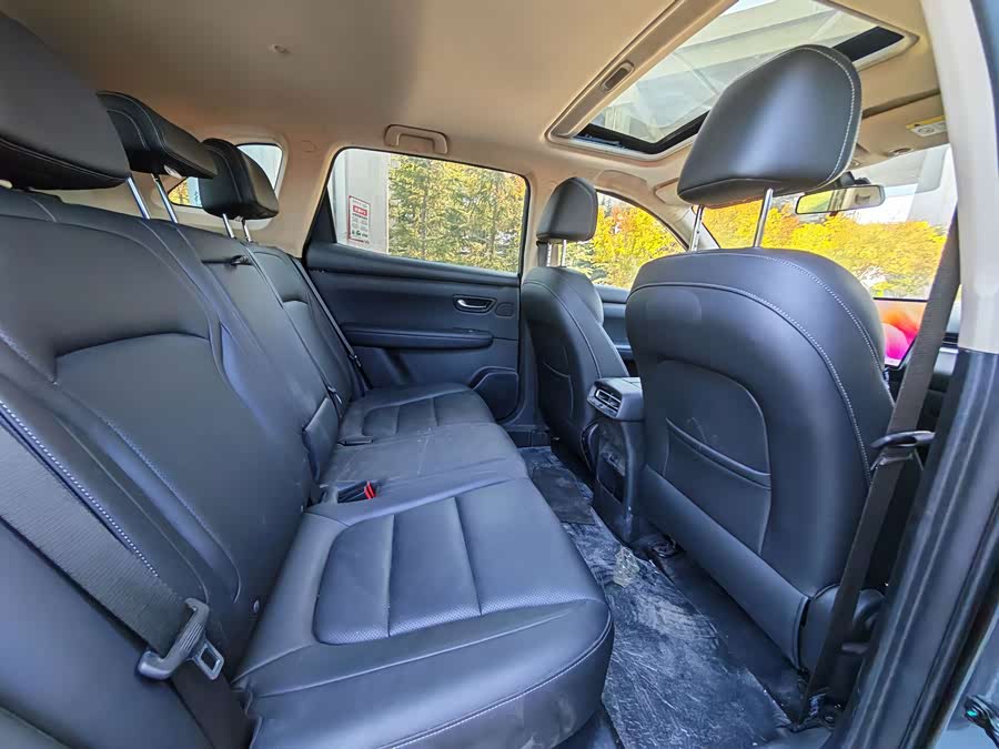 Blue Electric E5 PLUS 2025 165km Long Range 5 Seats - zdjęcie 8