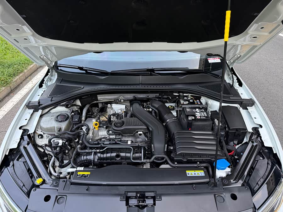 Bora 2024 300TSI DSG Executive - zdjęcie 18