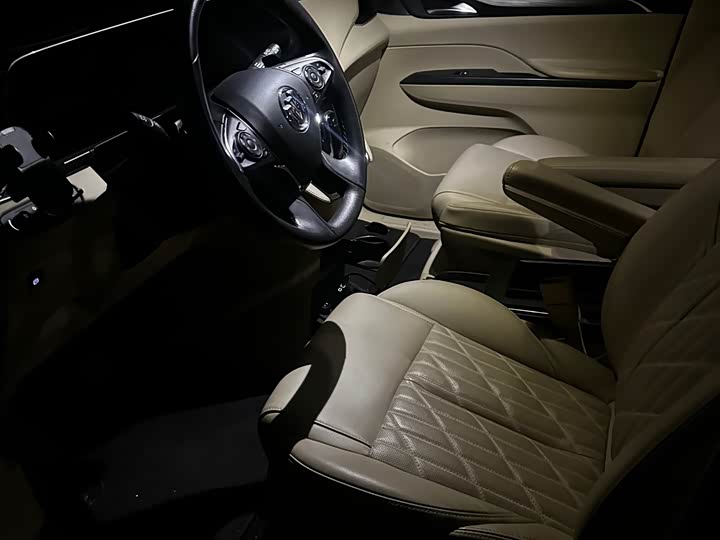 Buick GL8 2023 ES Luxurious - zdjęcie 10