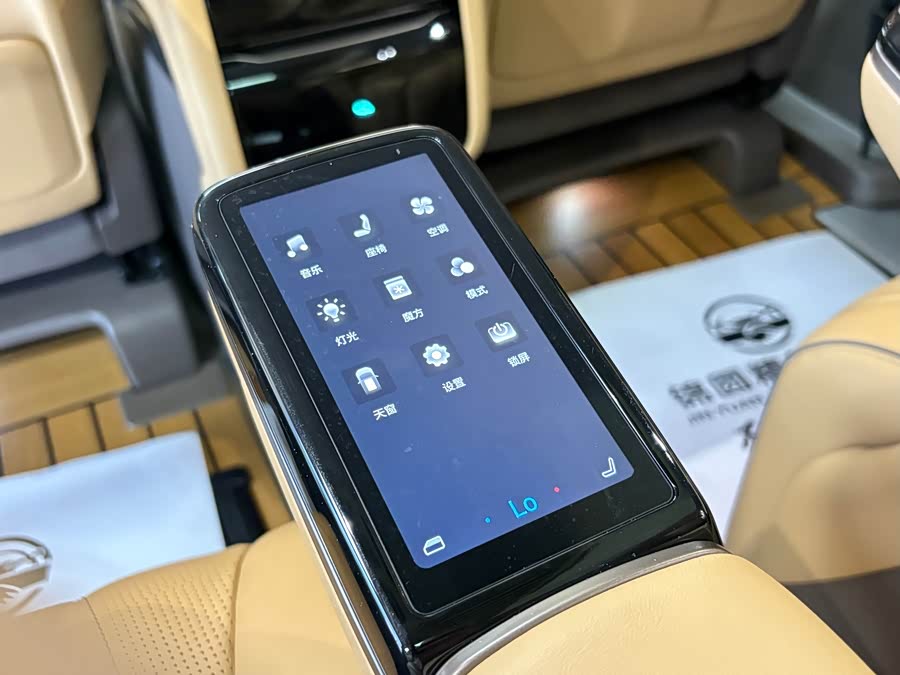 D9 2022 DM-i 970 4WD Flagship - zdjęcie 15