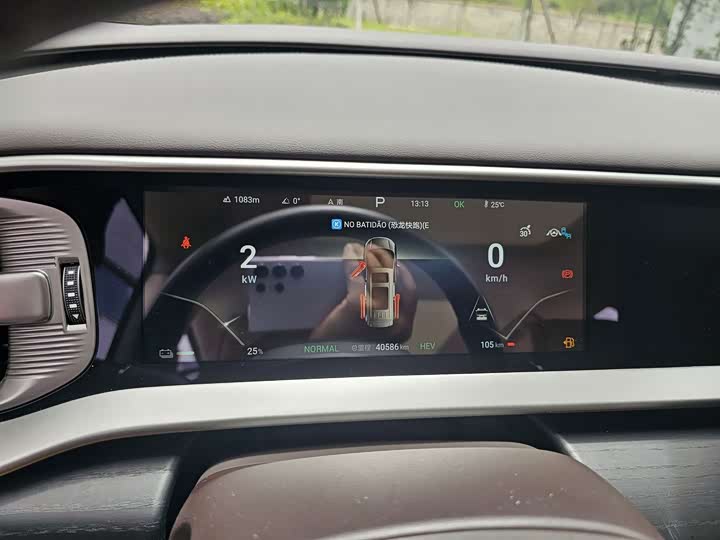 D9 2024 DM-i 980 4WD Honor - zdjęcie 17
