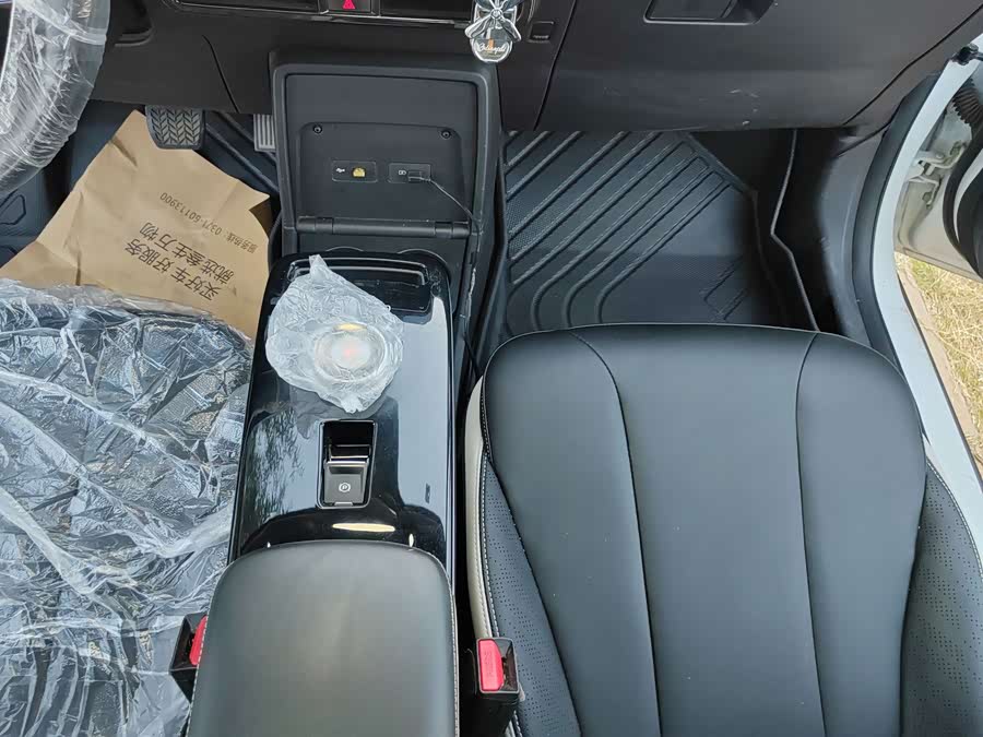 Geely Geometry E Firefly 2023 401KM Thunder Tiger 5-seater - zdjęcie 19