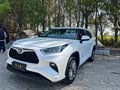 Highlander 2023 2.5L Intelligent Electric Hybrid Four-Wheel Drive Deluxe Edition 7-Seater - zdjęcie 19