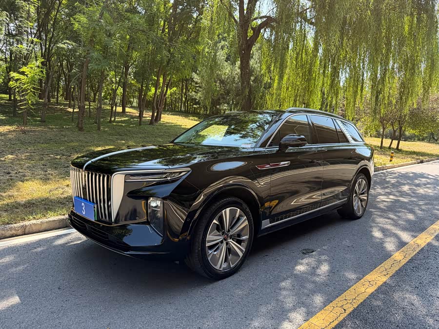 Hongqi E-HS9 2021 460km Flag Enjoy 6 Seats - zdjęcie 1