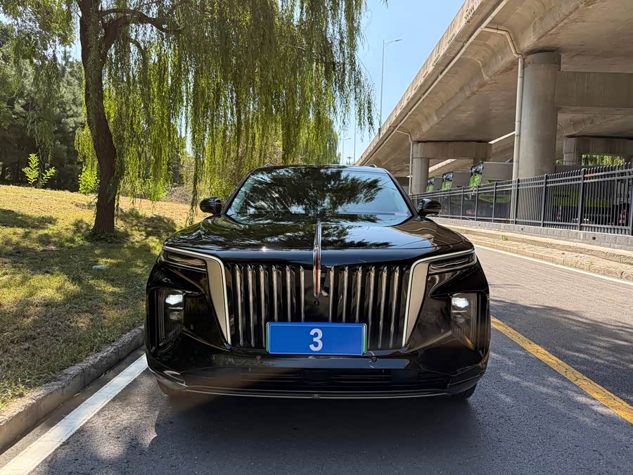 Hongqi E-HS9 2021 460km Flag Enjoy 6 Seats - zdjęcie 2