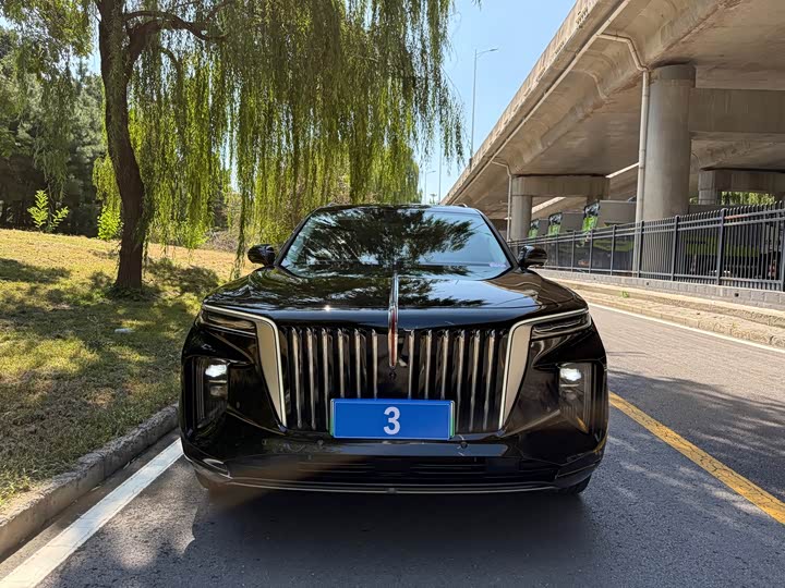 Hongqi E-HS9 2021 460km Flag Enjoy 6 Seats - zdjęcie 12