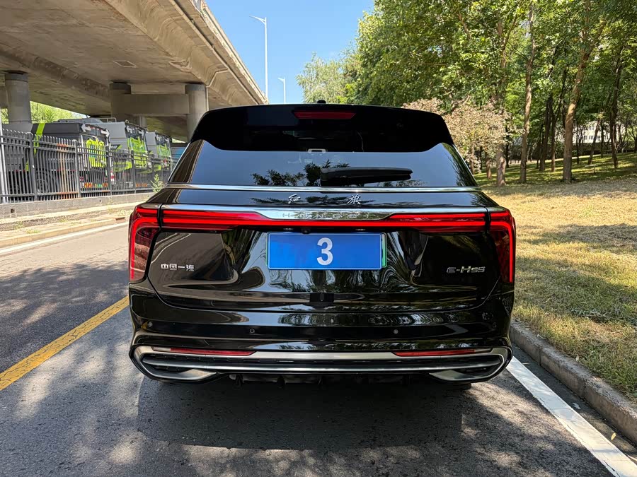 Hongqi E-HS9 2021 460km Flag Enjoy 6 Seats - zdjęcie 10