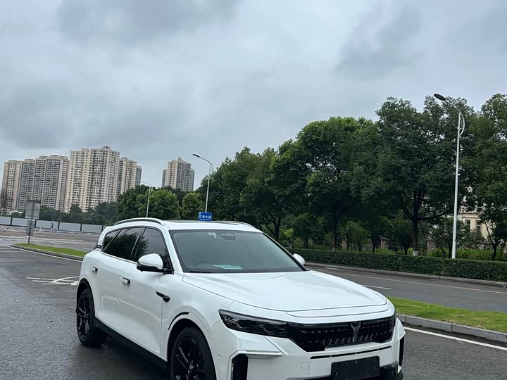 Lantu FREE 2024 Ultra Long Range Intelligent Driving - zdjęcie 12