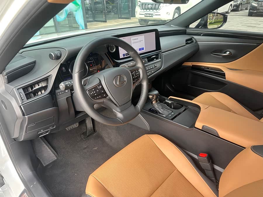 Lexus ES 2022 300h Excellence - zdjęcie 13