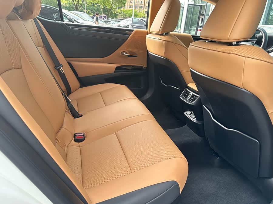 Lexus ES 2022 300h Excellence - zdjęcie 18