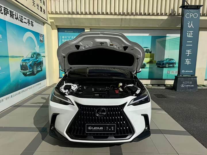 Lexus NX 2025 200 FUN - zdjęcie 16
