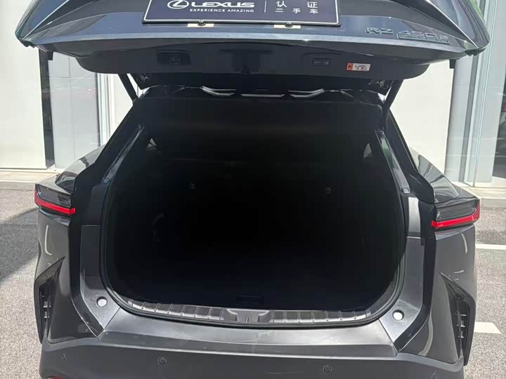Lexus RZ 2023 450e 4WD Enjoyment - zdjęcie 16