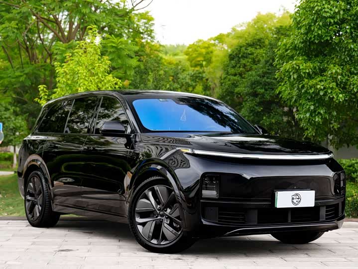Li Auto L9 2023 Pro - zdjęcie 19
