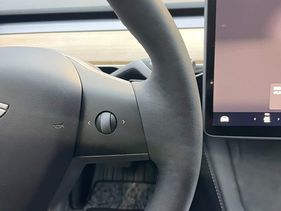Model 3 2022 RWD - zdjęcie 15