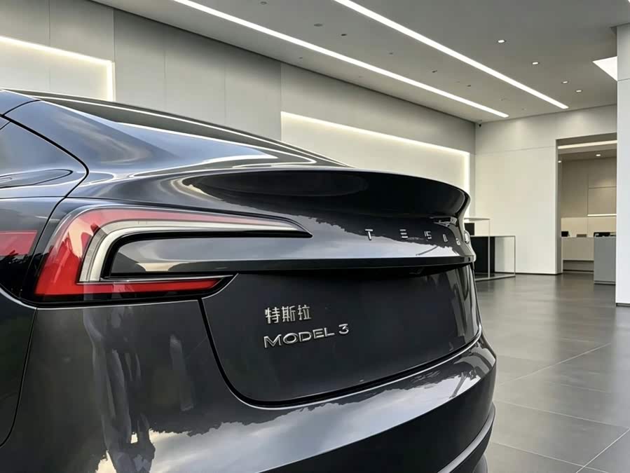 Model 3 2025 Long Range AWD - zdjęcie 7